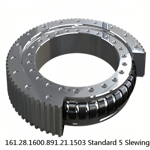 161.28.1600.891.21.1503 Standard 5 Slewing Ring Bearings