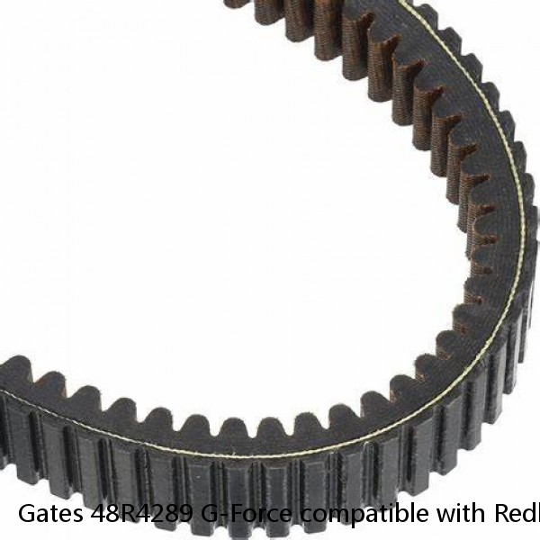 Gates 48R4289 G-Force compatible with Redline Drive Belt