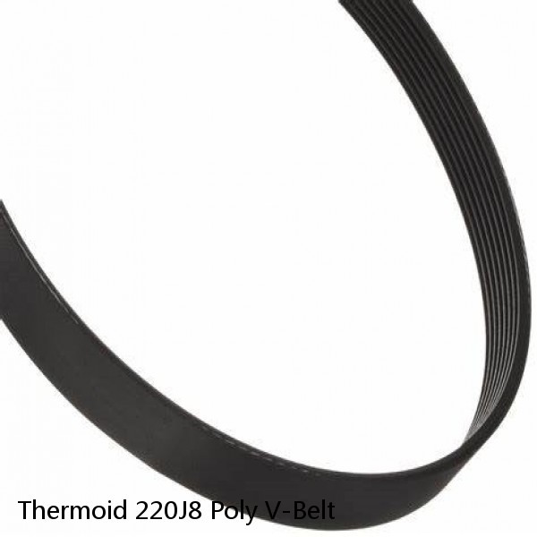 Thermoid 220J8 Poly V-Belt